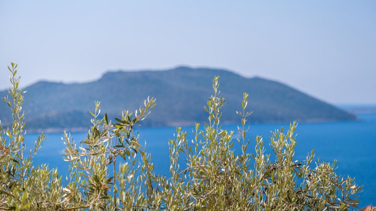 Sea Mist Suites Kas Exterior photo